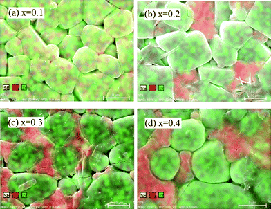 
          Zr and Ca elemental distribution in the surface of sintered pellets with different x.