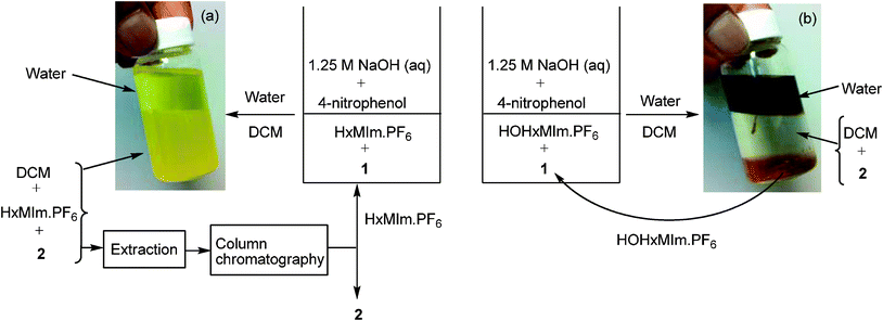 (a) A biphasic mixture of water (top layer), HxMIm.PF6 (lower layer), and dichloromethane (lower layer) during workup. (b) A triphasic mixture of water (top layer), dichloromethane (middle layer) and HOHxMIm.PF6 (bottom layer) during workup.