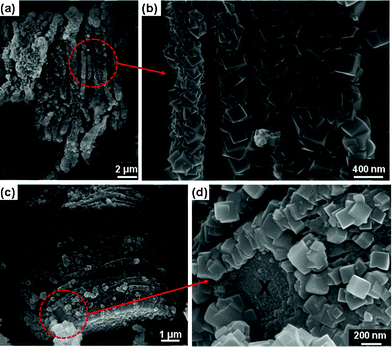 
          SEM images of the new phase. (a) At low magnification the particle shows the layered morphology, (b) the same as (a) but at higher magnification showing Ti2AlF9 cuboids, (c) another particle with part of it not covered with cuboids, and (d) the same as (c) but at higher magnification focusing on the circled part. X denotes Ti2AlC substrate below the Ti2AlF9 cuboids