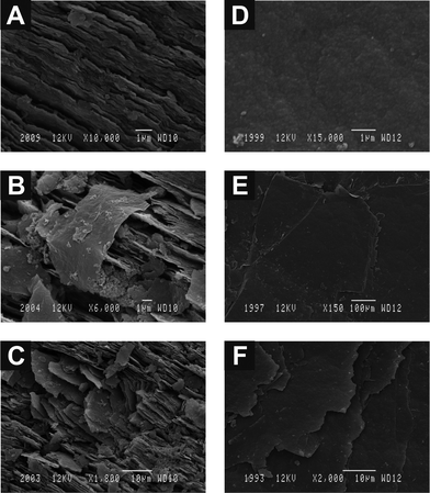 
            SEM images of an unpolished EPPG electrode before (A) and after modification with low (B) and high (C) coverage's of graphene, and additionally an unpolished BPPG electrode before (D) and after modification with low (E) and high (F) coverage's of graphene.