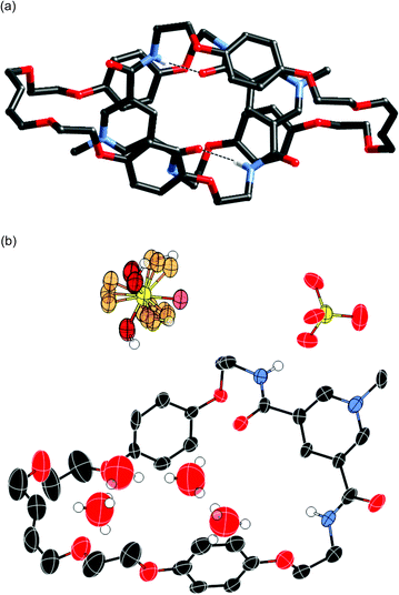 The crystal structure of [2]catenane 112+(SO42−): (a) the [2]catenane structure, with the intramolecular amide–amide hydrogen bond depicted as dashed lines and (b) the location of the oxoanion counter-anions with respect to one of the symmetry identical macrocycles of the [2]catenane. Thermal ellipsoids are displayed at 50% probability.