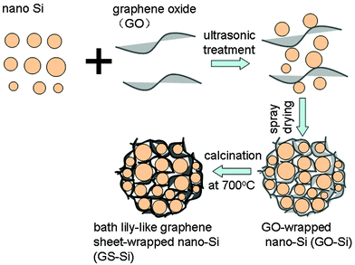 Schematic of the formation process of bath lily-like graphene sheet-wrapped nano-Si (GS-Si) composite.