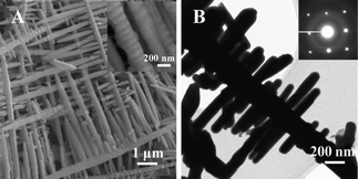 A. FESEM image of Sn nanodentrites. The inset is a high magnification SEM image of the branches; B. TEM image of Sn nanodentrite. The inset is the SAED pattern.