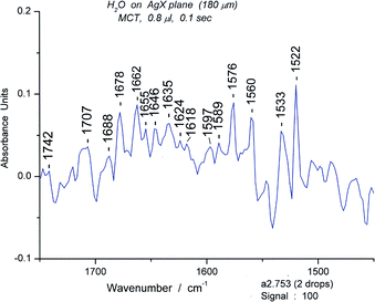 The bending and deformation region (1450–1750 cm−1) of the water spectrum of #753.