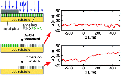 
          Sample preparation procedure for profilometry measurements to verify the changes in film thickness between UV-exposed and unexposed areas in a film (top right) and to determine the thickness of a UV/AcOH- treated film (bottom right). The ellipsometric thickness of the film prior to UV/AcOH treatment was 31 nm. In the profilometry data, the edge of the metal plate during the UV irradiation was located around x = 0.