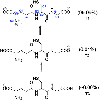 Tautomers of the anionic form of GSH and site numbers.