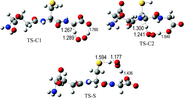 Transition states involved in the GS− + ·OOH reaction.