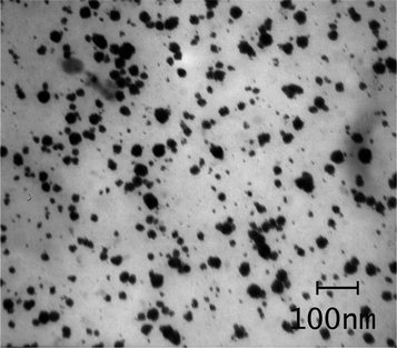 
            TEM image of the agarose supported Pd nanoparticles, which shows the size distribution of the particles to be around 10–30 nm.