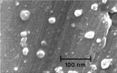 
            SEM image of the agarose hydrogel supported Pd nanoparticles, which shows the regular dispersion of the palladium nanoparticles on the surface of the agarose hydrogel.