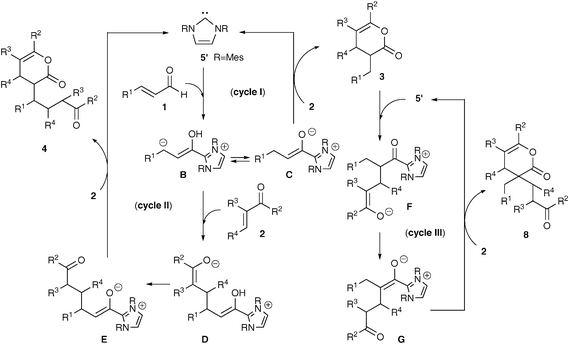 Proposed reaction pathways.