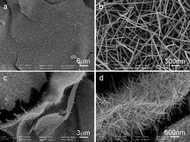 (a) SEM images of the VN/C nanocomposite prepared with R = 3. (b) SEM image of carbon nanofibers standing on the surface of the VN microsheets. (c), (d) SEM images of a typical VN microsheet with carbon nanofibers standing on both sides.