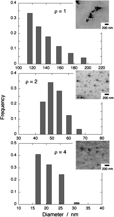 Size distributions of the TC nanoparticle samples characterized by DLS. The corresponding STEM images are also shown.