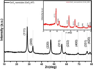 
          XRD pattern of the as-prepared CeO2 nanotubes (CeO2-NT); inset is the XRD pattern of CeO2 nanoparticles (CeO2-NP).