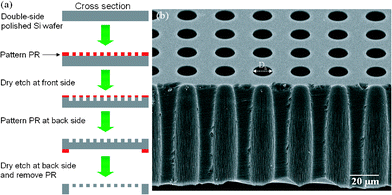 (a) A process flow diagram illustrating the fabrication procedure of the Si-stencil using two MEMS techniques. Detail description of the steps is in the text. (b) Scanning electron micrograph of a Si-stencil with 13 μm Dh. The Si-stencil was cut through the holes to reveal its cross section.