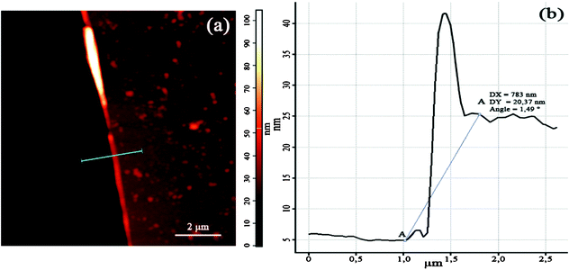 AFM image of the step formed on the 24 layered Polyaniline@Au–MESH film: the 10 μm × 10 μm area (a) and the height profile (b) along the indicated line. Arrow A indicates a single particle, while arrow B indicates an aggregate.