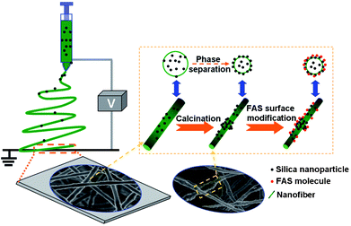 Schematic diagram illustrating the processing steps in the fabrication of lotus-leaf-like structured fluorinated silica nanofibers.