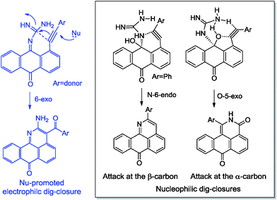 Effect of alkyne electronic properties on the selectivity of ring closure in the reactions of anthraquinones and guanine.