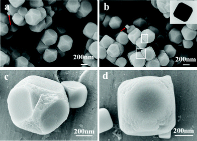 
          SEM images of the as-prepared Co3[Co(CN)6]2·nH2O nanoparticles obtained in the presence of 0.6 g SDBS at different magnifications. The inset is the typical TEM image of a particle.