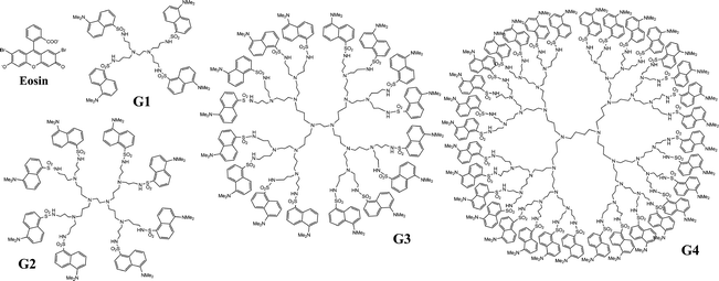 Schematic structures of the dansylated POPAM dendrimers and the eosin dye.