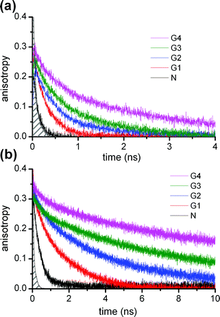 
            Fluorescence anisotropy decay of the Gn (n = 1–4) dendrimers and N-propyldansylamine reference compound (N) at (a) room temperature (293 K) and (b) 213 K. The filled area on the left shows the time resolution of the experiment.