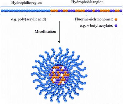 A simplified representation of a micelle containing a hydrophobic core with a large population of fluorine nuclei. The incorporation of n-butyl acrylate (purple spheres) into the hydrophobic block viastatistical copolymerisation has been shown by Peng et al. to enable longer T2 relaxation times by lowering the glass transition temperature.24