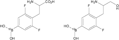 
            10Bpa(2,6F2) (left) and 10Bpa(2,6F2)-ol (right) have been designed to perform as both 19F MR contrast agents and potential therapeutics against cancer.66