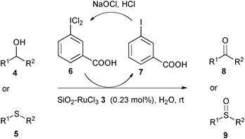 
          SiO2–RuCl3 catalyzed oxidation of organic substrates 4 and 5 using 3-(dichloroiodo)benzoic acid 6 as a recyclable oxidant.