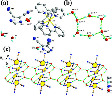 (a) ORTEP representation of 1 showing the local coordination environment around Co(ii) center with 50% thermal ellipsoid probability. Hydrogen atoms on C atoms have been omitted for clarity. (b) Octamer water cluster based on a chair-like hexamer (Symmetry codes: (i) x − 1, y, z; (ii) −x + 1, −y + 1, −z + 1; (iii) −x + 1, −y + 1, −z; (vi) −x, −y + 1, −z; (vii) x − 1, y, z − 1). (c) 1D hydrogen-bonded water-imdn aggregation in 1.