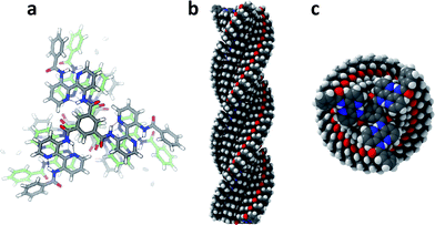 Modeling of stacks of N,N′,N′′-tris(3′-benzoylamino-2,2′-bipyridinyl)benzene-1,3,5-tricarboxamide lacking only the 9-alkoxy tails of 1a and 1b. Parameters: rotation 13°; tilt −20°; bisacylaminobipyridine moieties coplanar; P-helix with carbonyl oxygens down. (a) Ball-and-stick model trimer; (b) filled-space model side view of 28-mer; (c) filled-space model top view of 28-mer.