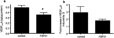 Enhanced FBP21 expression mitigates the effect of 2 on alternative splicing of VEGF in RPE cells. RPE cells were transfected with either control vector or FBP21 expression vector. (a) ELISA for VEGFxxxb using biotinylated VEGFxxxb specific detection antibody, *p < 0.05 compared with control, Paired t test, n = 3; (b) Transfected cells were then treated with 0.5μM 2 for 72 h and protein assayed by ELISA; results are expressed relative to vehicle (0.1% DMSO) treated cells, p = 0.05 Mann Whitney U test, n = 4.