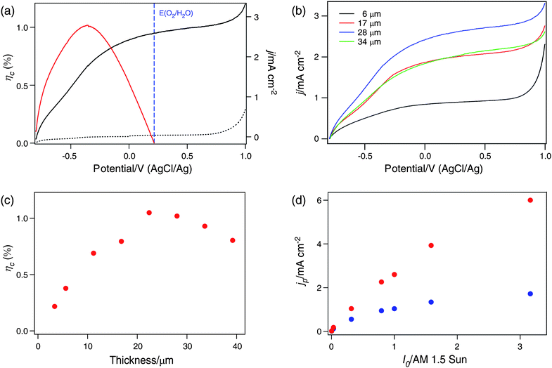 (a) Current density (j)-potential curves in the dark (dashed black line) and in simulated AM 1.5 illumination (solid black line) for a 22-μm TiO2 nanowire thin film. The photoconversion efficiency (ηc) calculated from eqn (2) is shown in solid red. The thermodynamic potential threshold for oxygen evolution is labeled by the vertical blue line. (b) Current density (j)-potential curves in simulated AM 1.5 illumination for TiO2 nanowire thin films with different thicknesses. (c) Thickness dependence for the maximum photoconversion efficiencies of TiO2 nanowire thin films. (d) Power dependence of the photocurrent density (jp) at the thermodynamic potential threshold for oxygen evolution in 1 M NaOH (red dots) and in 10 mM NaOH (blue dots) electrolytes.