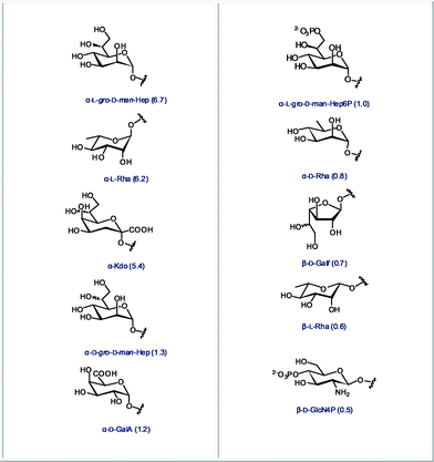 The 10 most abundant monosaccharides found in bacteria, but not in mammals (relative abundance in all bacteria indicated in parentheses).