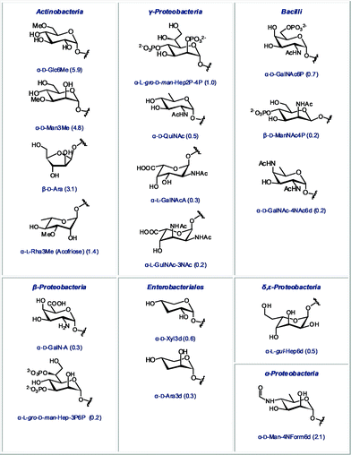 
            Monosaccharides found in only one bacterial class (relative abundance in the glycome of this class indicated in parentheses).