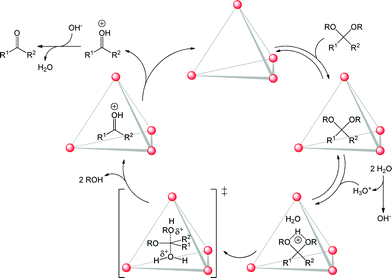 Proposed catalytic cycle for acid-catalysed acetal deprotection inside a self-assembled tetrahedral host in basic media.