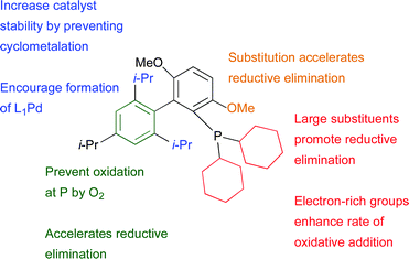 Important structural features of dialkylbiaryl phosphine ligands.