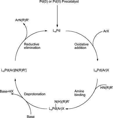 Generalized catalytic cycle for Pd-catalyzed amination with dialkylbiaryl phosphines.