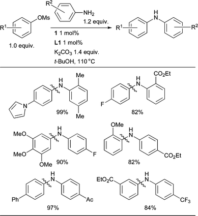 
            Pd-catalyzed coupling of anilines and aryl mesylates employing L1 as ligand.