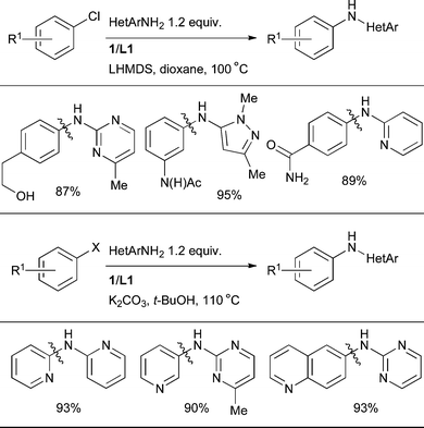 
            L1 provides an efficient catalyst system for the amination of 1° heteroarylamines under various reaction conditions.