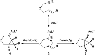 Major pathways in the gold(i)-catalyzed cyclization of 1,6-enynes.