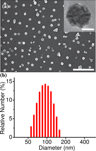 (a) SEM image of the nanoparticles drop-casted from aqueous suspension (scale bar equivalent to 1 μm) and (b) the corresponding particle size distribution profile obtained from DLS analysis (average diameter is 95 nm). The inset of (a) shows the TEM image of a single nanoparticle (scale bar equivalent to 50 nm).