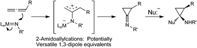 
          Allene amidation with electrophilic metallonitrenes: a general approach to 2-amidoallylcations.