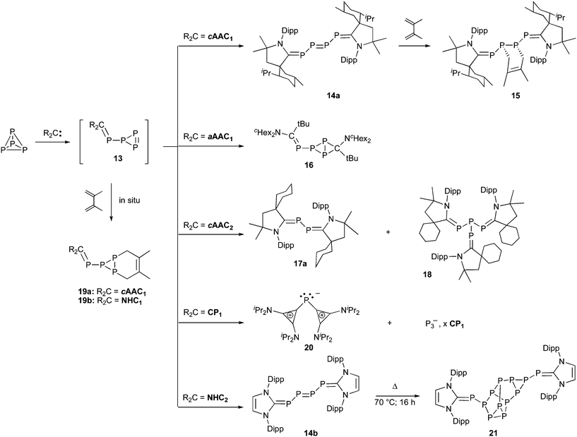 Activation, degradation and aggregation of P4 by stable carbenes.