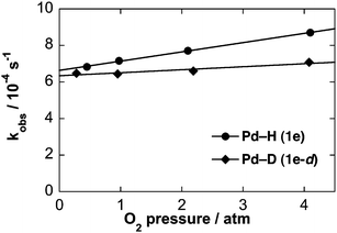 Effect of O2 pressure on the observed rate constant for the oxygenation of 1e (●) and 1e-dd (♦). Reaction conditions: [1e]0 = 1 mM, [1e-dd]0 = 0.5 mM, pO2 = 0.28–4.1 atm, [NBu4O2CC6H4OMe] = 10 mM, 0.4 mL C6D6, 75 °C.