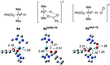 Optimized ground-state structure for (IMe)2Pd(H)(O2CPh) and the rate-determining transition states for the HXRE and HAA mechanisms of O2insertion into the Pd–H bond.