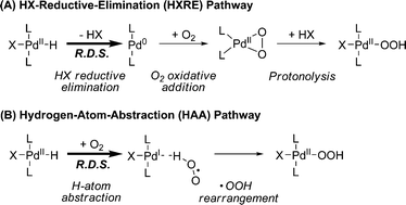 Two mechanistic pathways that have been established experimentally for O2insertion into a PdII–hydride bond.