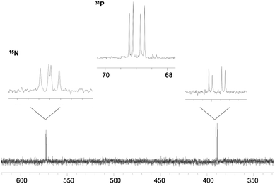 
            31P{1H} and 15N NMR spectra for 4-1515N.