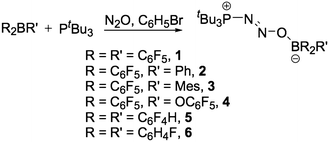 Synthetic method for the generation of 1–6.