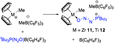 Synthetic scheme for the generation of 11 and 12 by Lewis acid exchange.