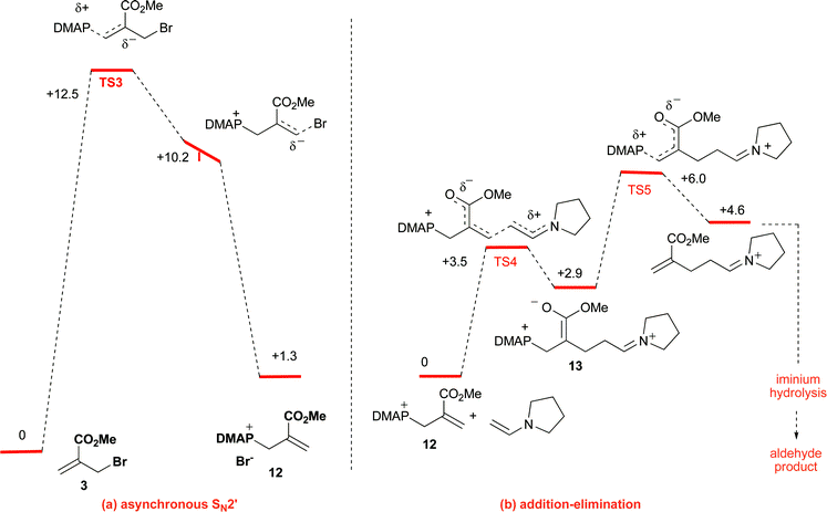 Reaction Coordinate Diagram for the model reaction computed at the B3LYP/6–31* level (enthalpies given in kcal mol−1) corresponding to: (a) initial formation of intermediate ammonium salt 12 (asynchronous SN2′); (b) key C–C bond forming step (two-step addition-elimination SN2′-type mechanism).