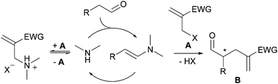 
          Amine-catalyzed α-alkylation of aldehydes with allyl halides A, assuming a reversible N–alkylation side reaction (EWG: electron withdrawing group).